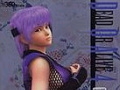 DEAD OR ALIVE 4 OFFICIAL GUIDE -BASIC FILE-