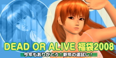 DEAD OR ALIVE ����2008